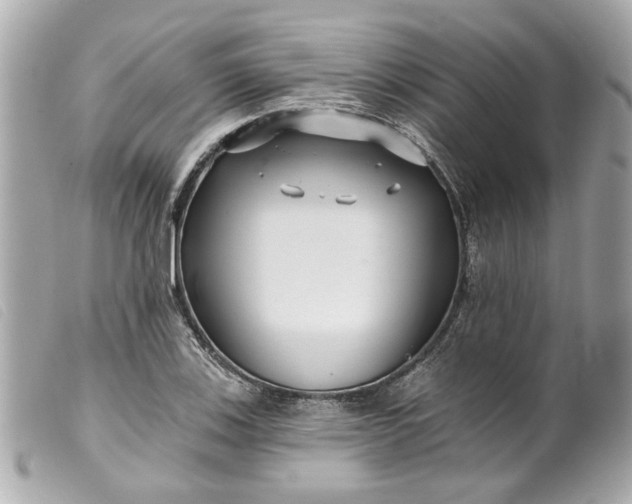 X0000099541123200805301455