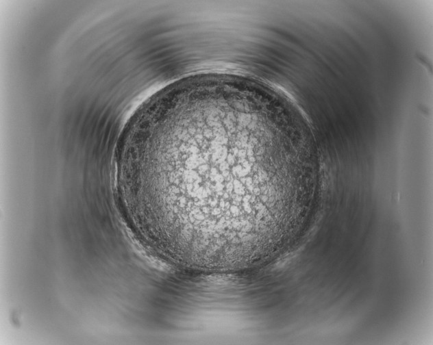 X0000099541125200805301455