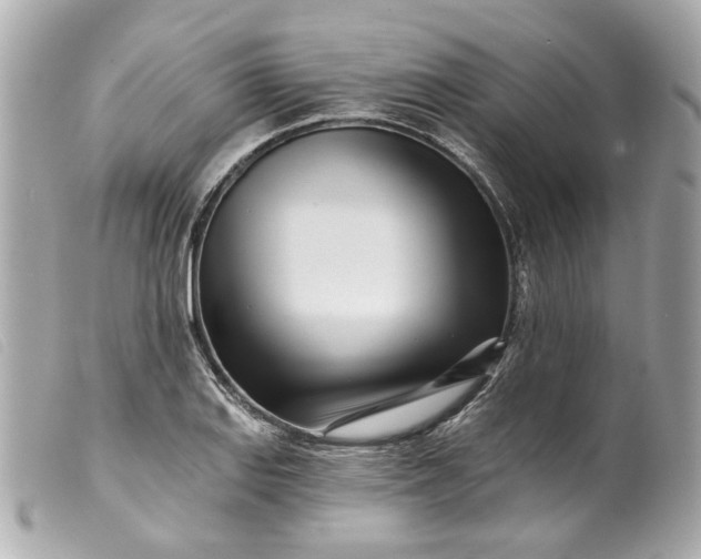 X0000099541127200805301455