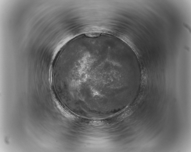 X0000099541128200805301455