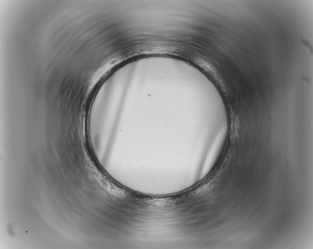 X0000099541130200805301455