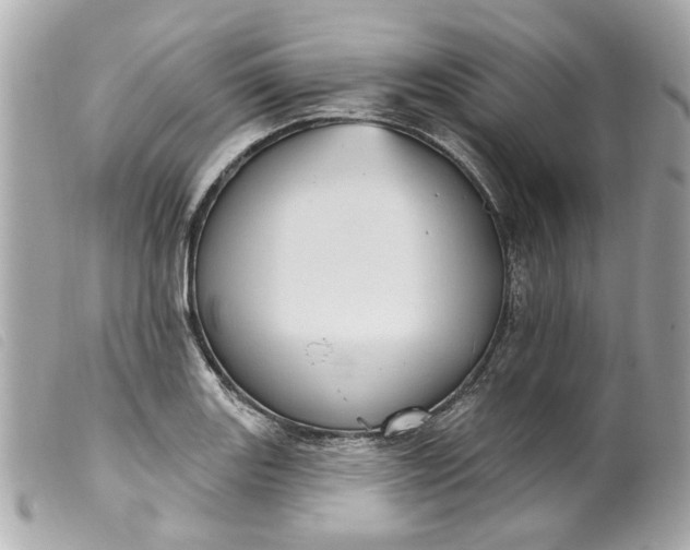 X0000099541131200805301455