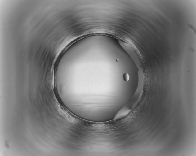 X0000099541132200805301455