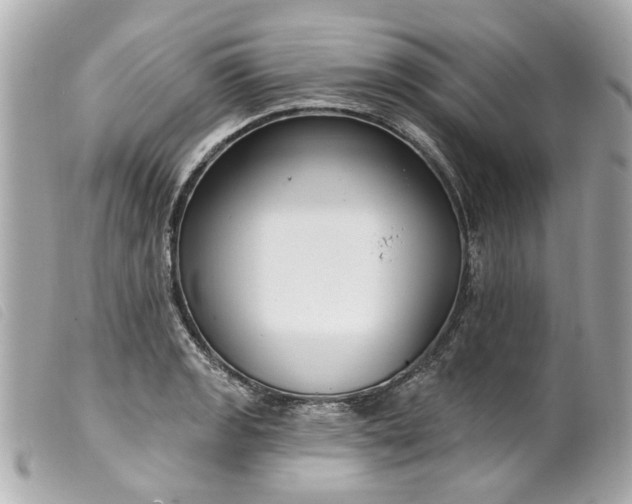 X0000099541133200805301455