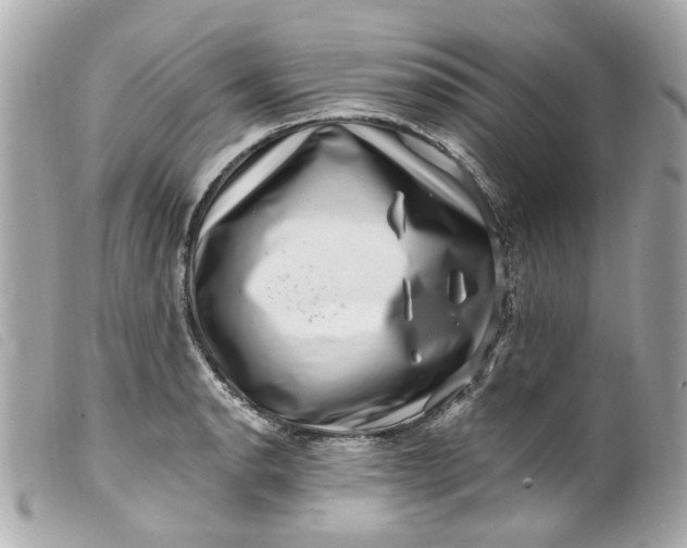 X0000099541134200805301455