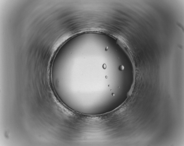 X0000099541135200805301455