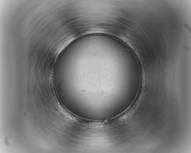 X0000099541137200805301455