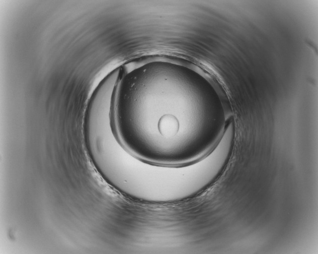 X0000099541138200805301455