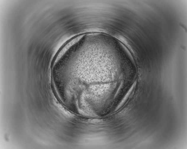 X0000099541140200805301455