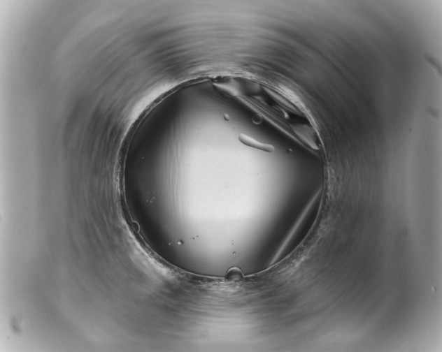 X0000099541141200805301455