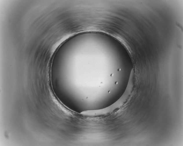 X0000099541142200805301455