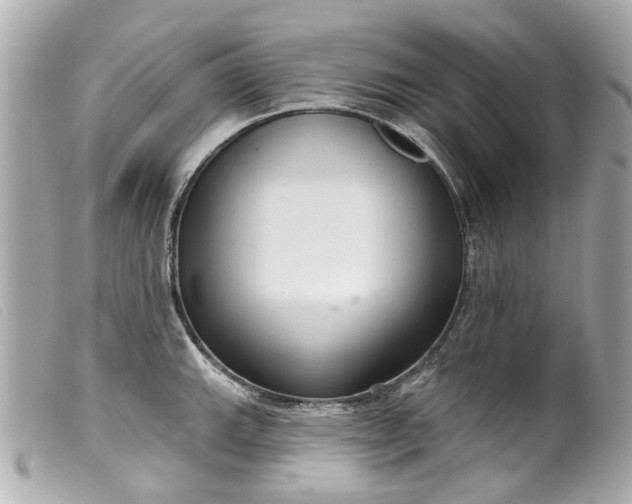 X0000099541143200805301455