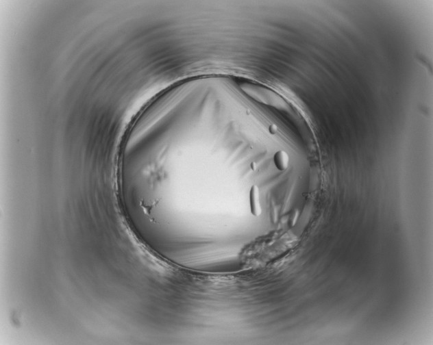 X0000099541144200805301455