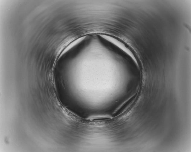 X0000099541145200805301455