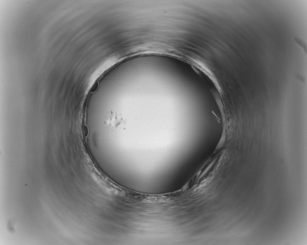 X0000099541146200805301455