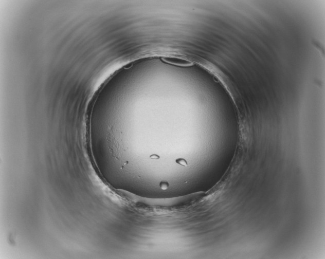 X0000099541147200805301455