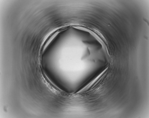 X0000099541148200805301455