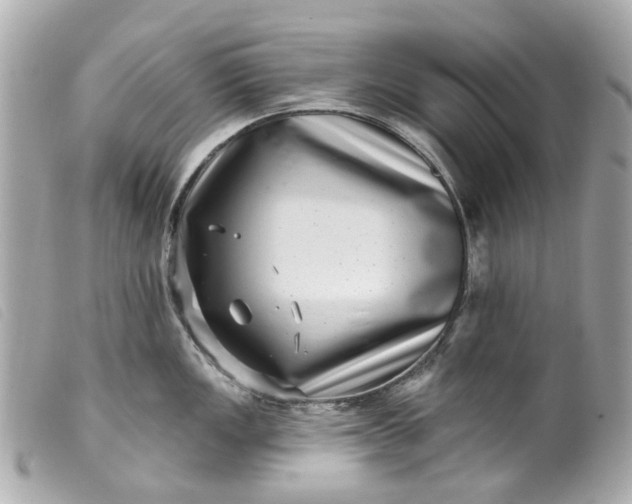 X0000099541149200805301455