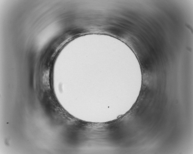 X0000099541150200805301455