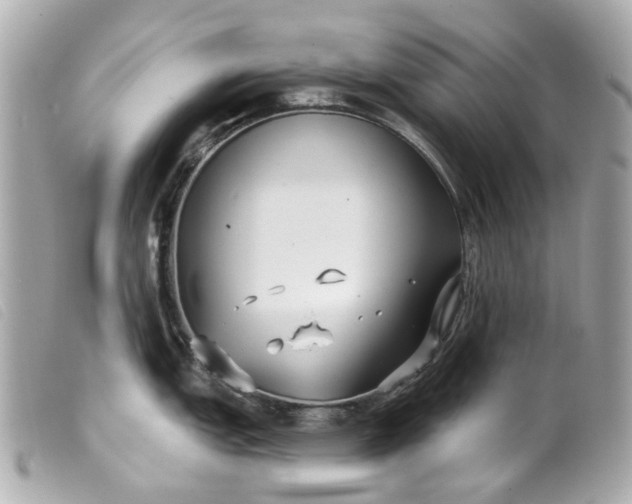 X0000099541151200805301455