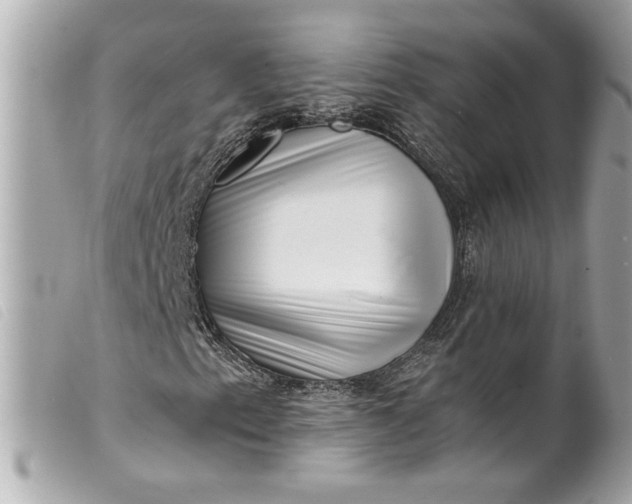 X0000099541153200805301455