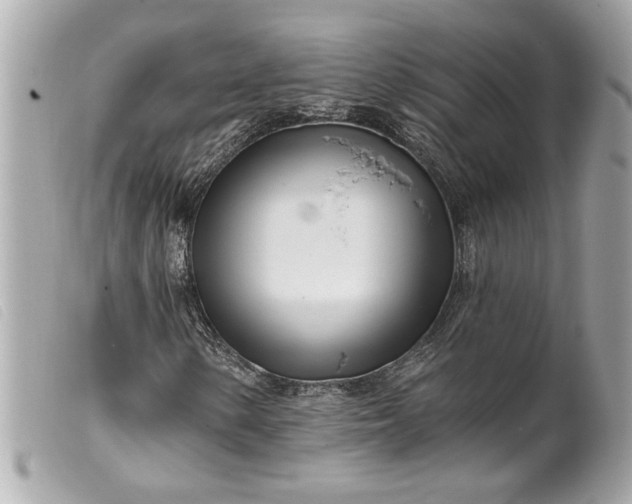 X0000099541154200805301455