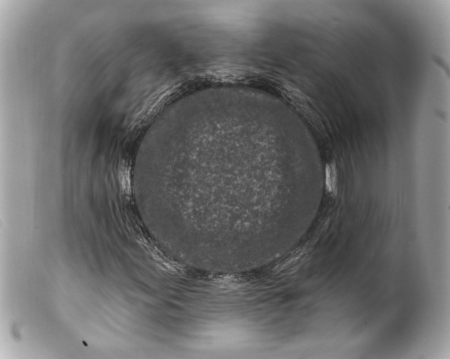 X0000099541155200805301455