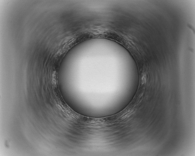 X0000099541156200805301455