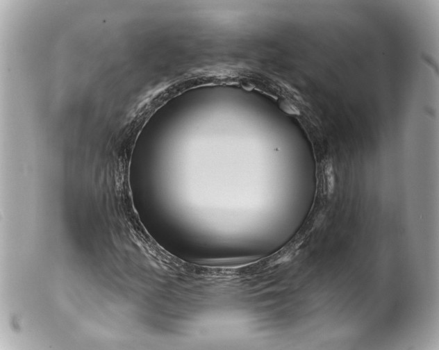 X0000099541158200805301455