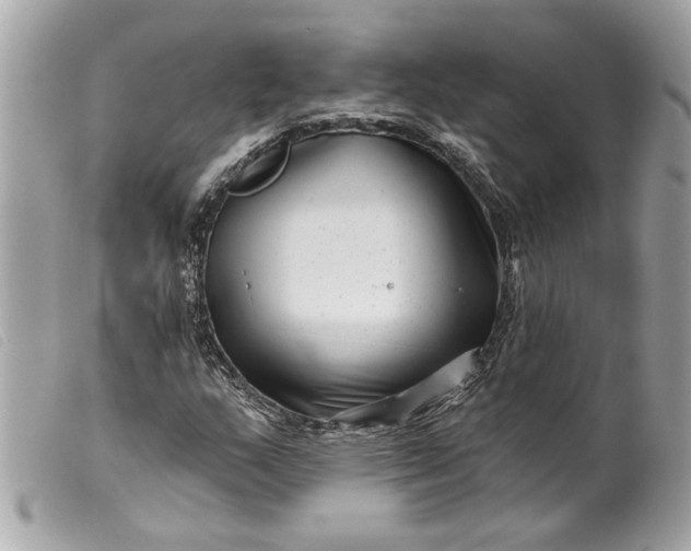 X0000099541159200805301455