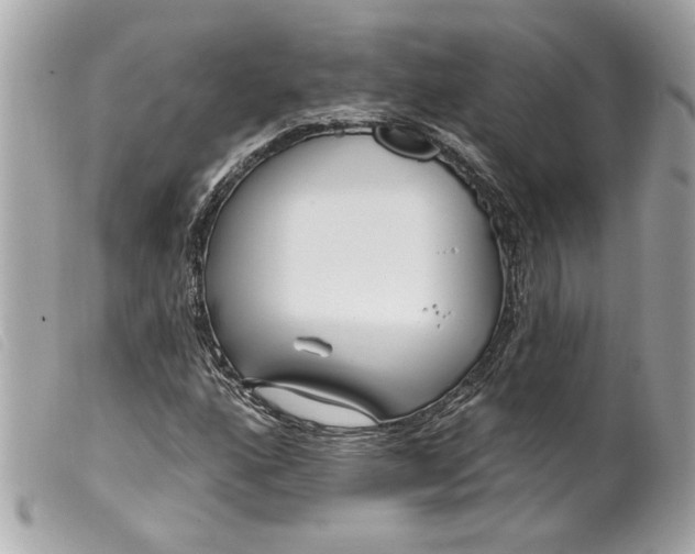 X0000099541160200805301455