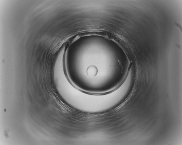 X0000099541161200805301455