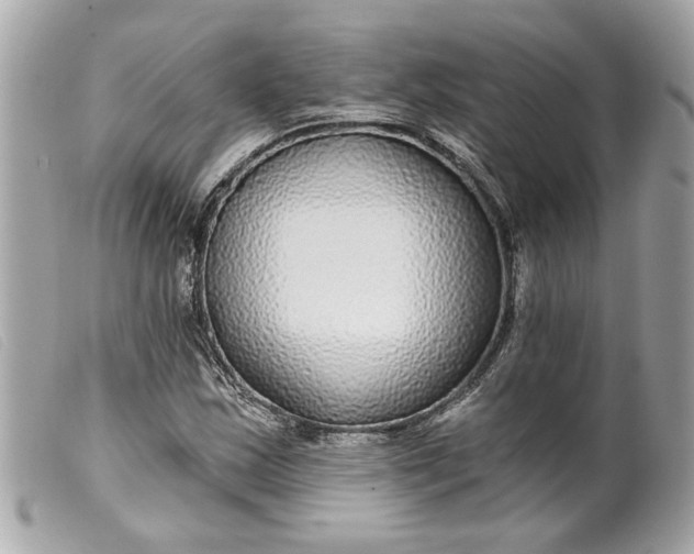 X0000099541163200805301455