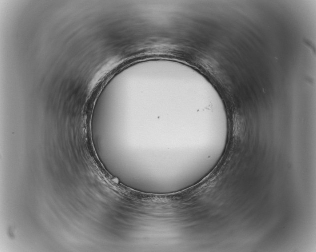 X0000099541164200805301455