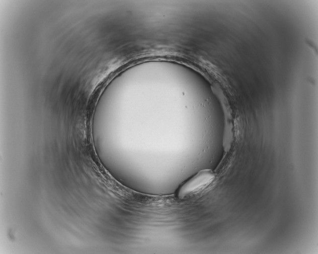 X0000099541165200805301455