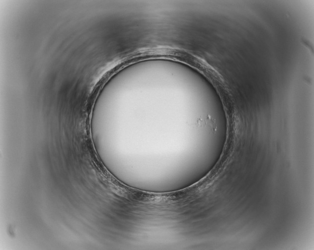 X0000099541166200805301455