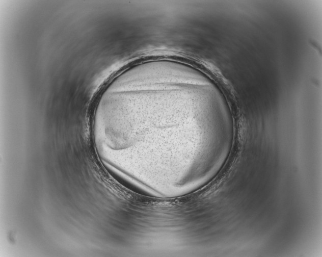 X0000099541167200805301455