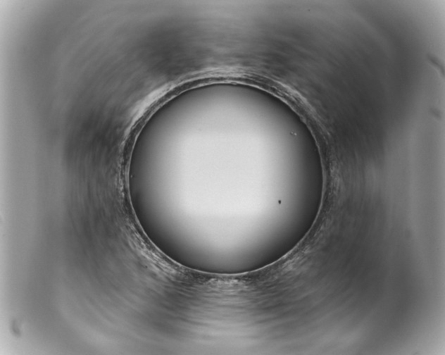 X0000099541168200805301455