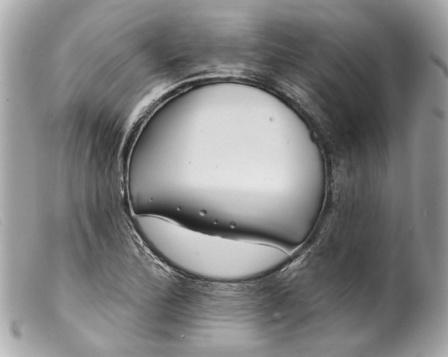 X0000099541172200805301454