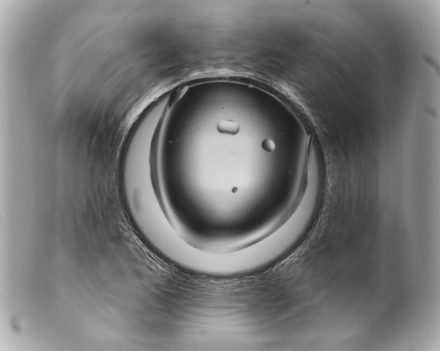 X0000099541173200805301454