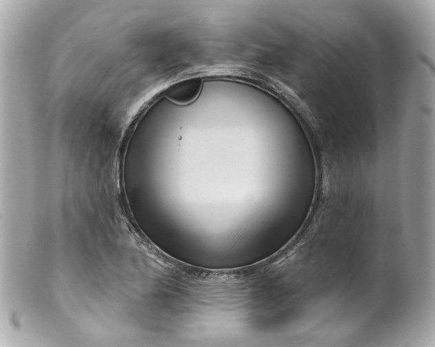 X0000099541174200805301454