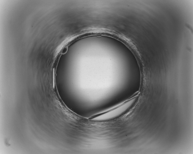 X0000099541175200805301454