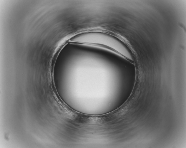 X0000099541176200805301454