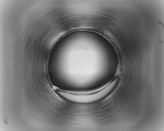 X0000099541177200805301454