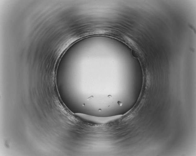 X0000099541178200805301454