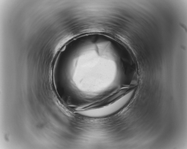 X0000099541179200805301454