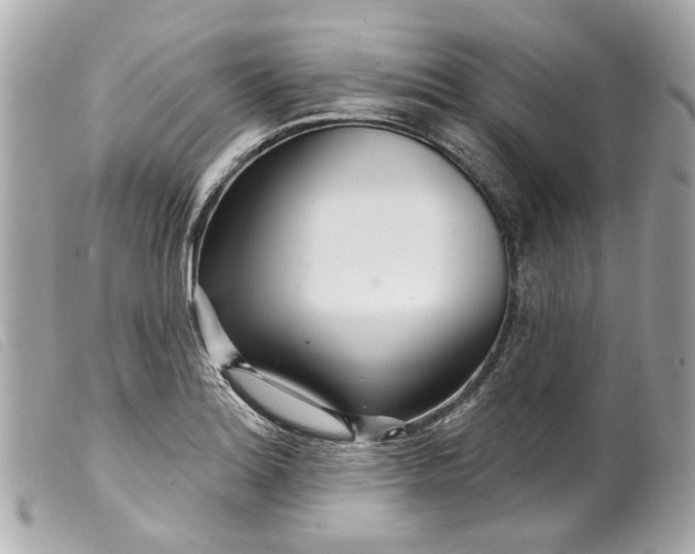 X0000099541180200805301454