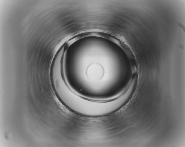 X0000099541181200805301454