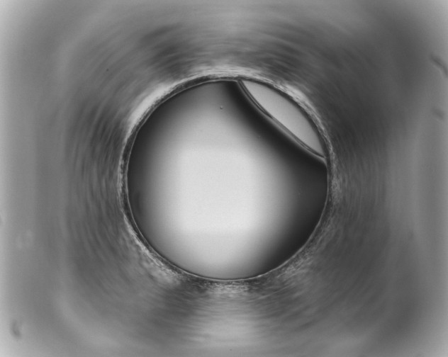 X0000099541183200805301454