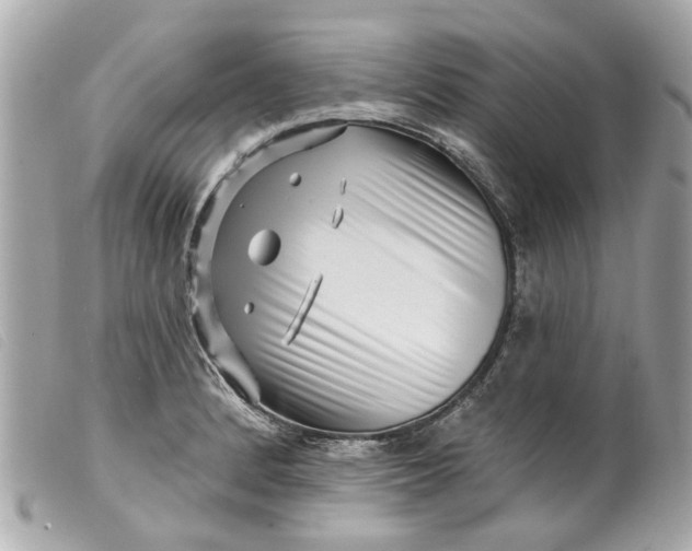 X0000099541184200805301454